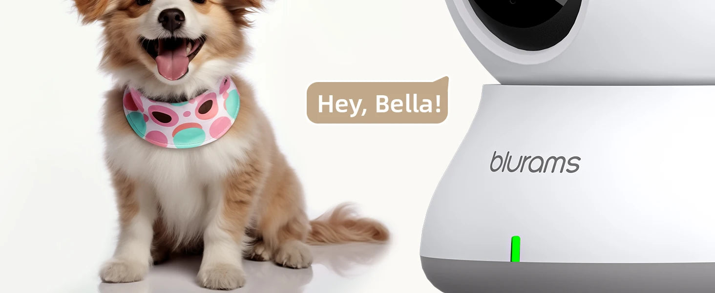 Blurams 2K Indoor PTZ WiFi Camera with 2-Way Talk
