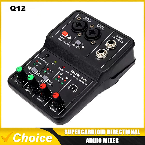 TEYUN Q12 2-Channel USB Audio Interface Mixer